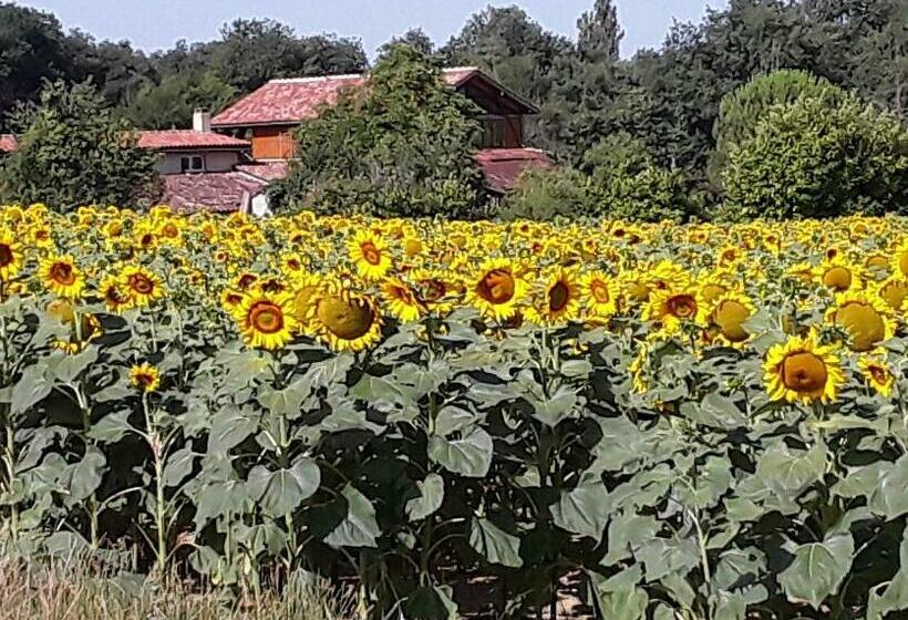 住宿加早餐  Berdale