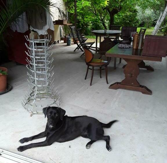 住宿加早餐  Berdale