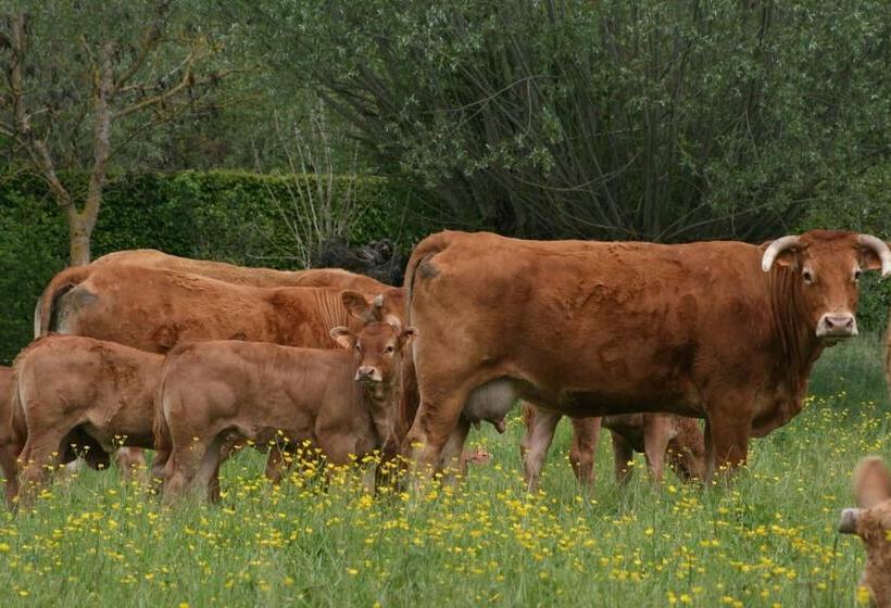 צימר Chambres D Hotes Du Jay