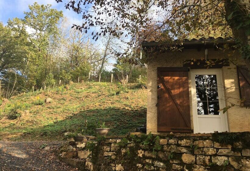 Bed and Breakfast Domisiladore