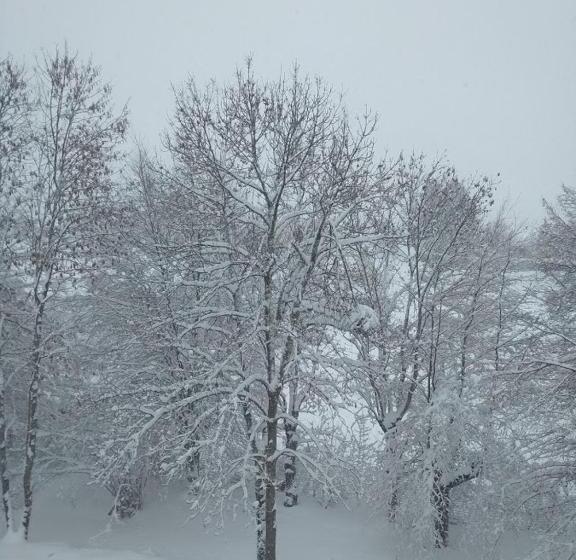 住宿加早餐  La Cabanette