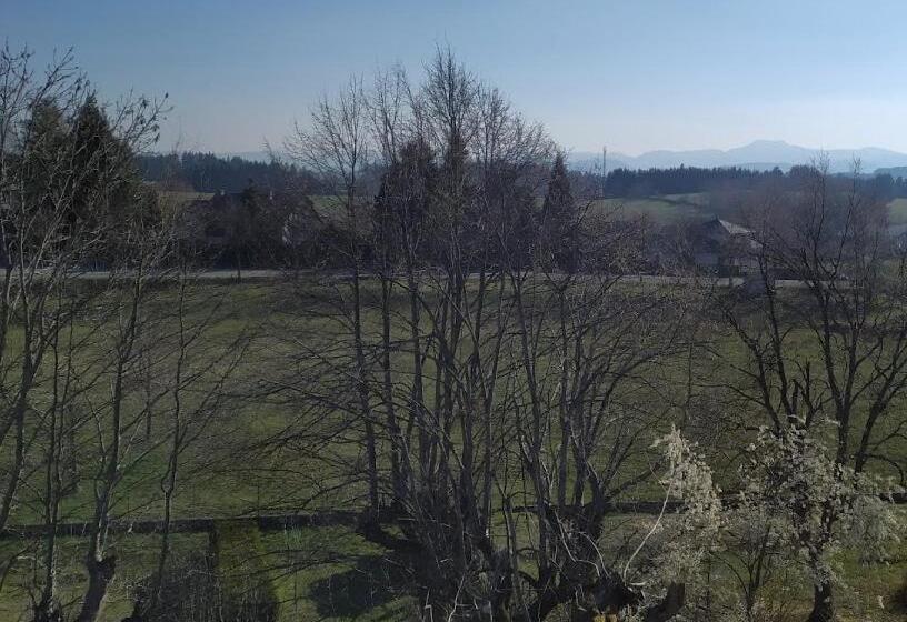 住宿加早餐  La Cabanette