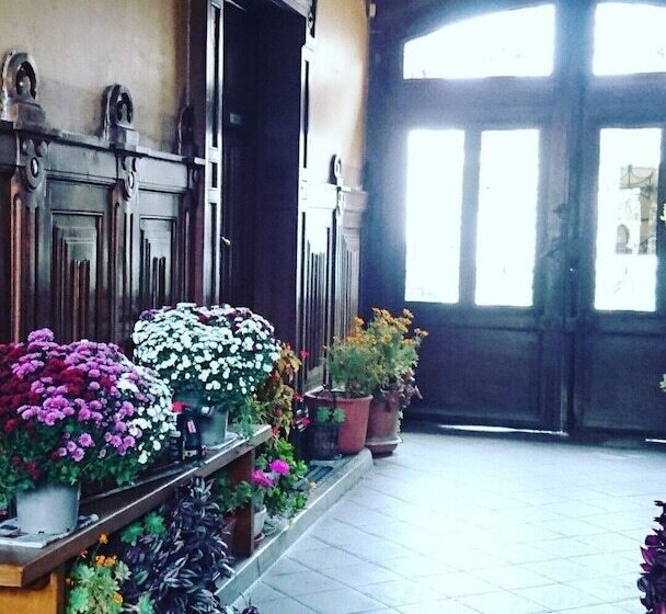 住宿加早餐  La Vieille France