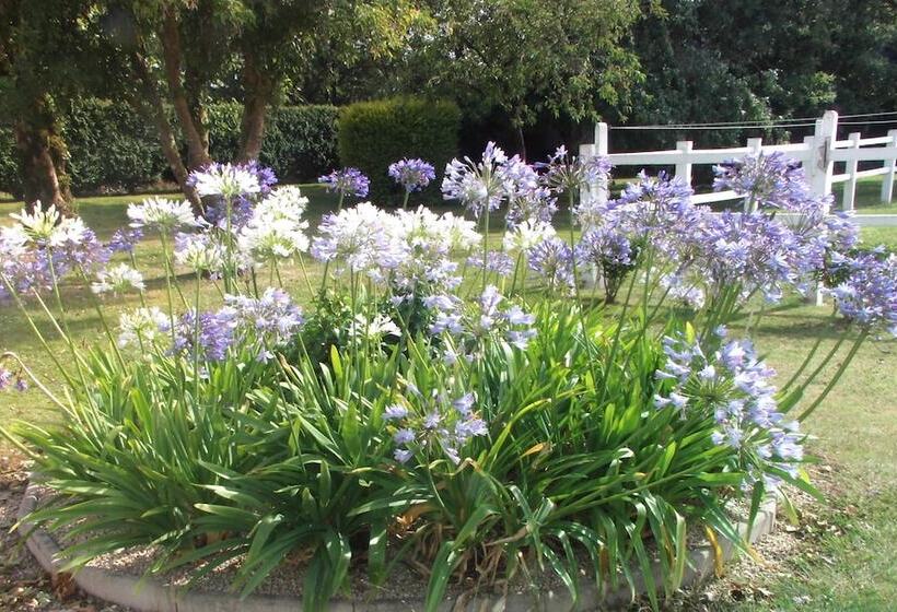 ベッドアンドブレックファースト La Vieux Ville