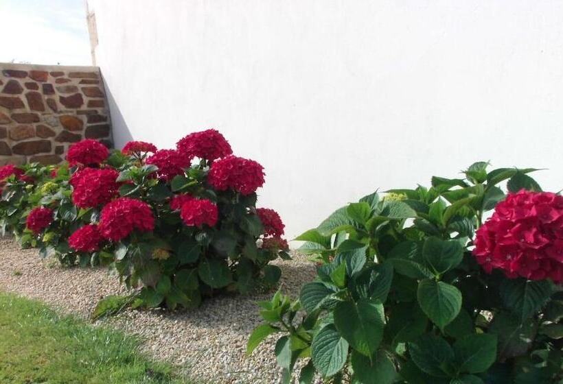 ベッドアンドブレックファースト La Vieux Ville