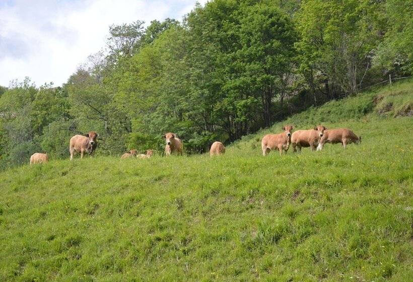 مبيت وإفطار Chambres D Hôtes Le Lepadou Bas