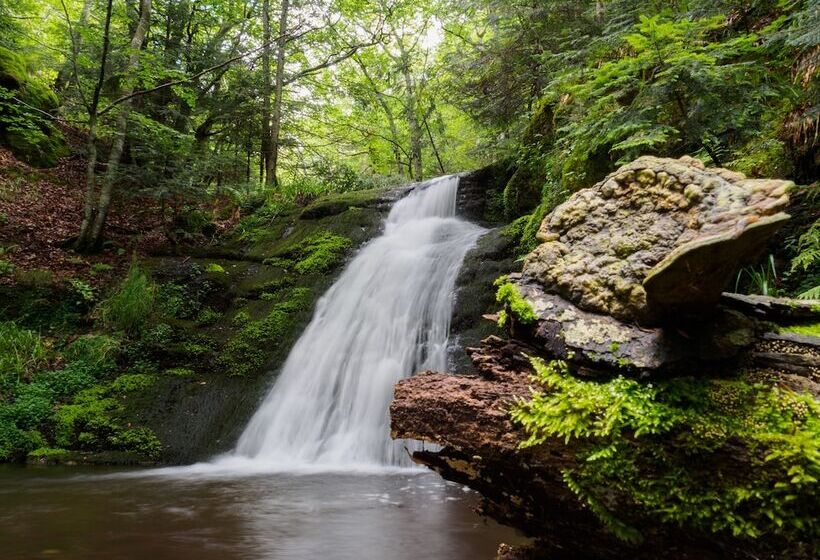 مبيت وإفطار Chambres D Hôtes Le Lepadou Bas
