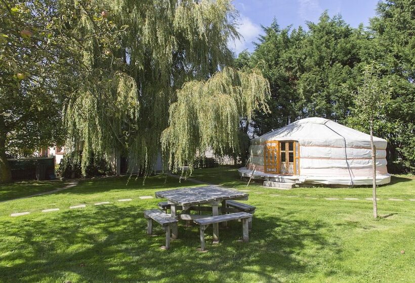 צימר Rando Yourte