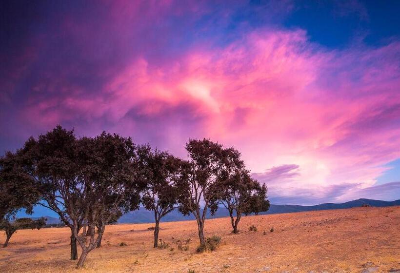 Cabañas De La Romedina