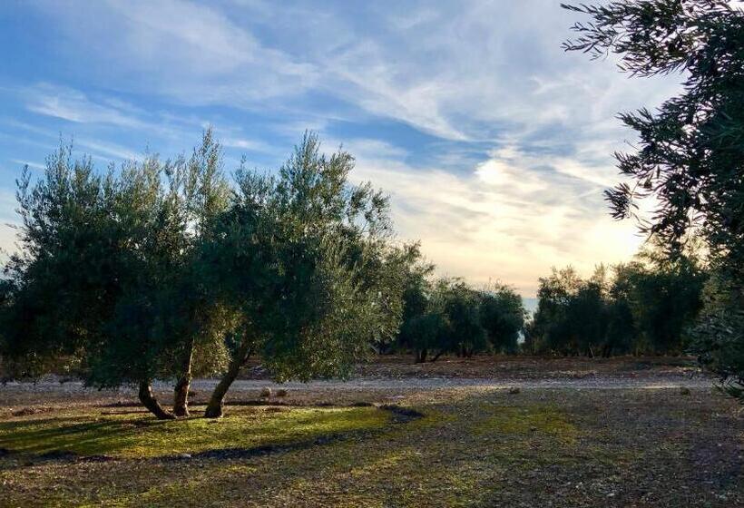 Casa Olivar B&b