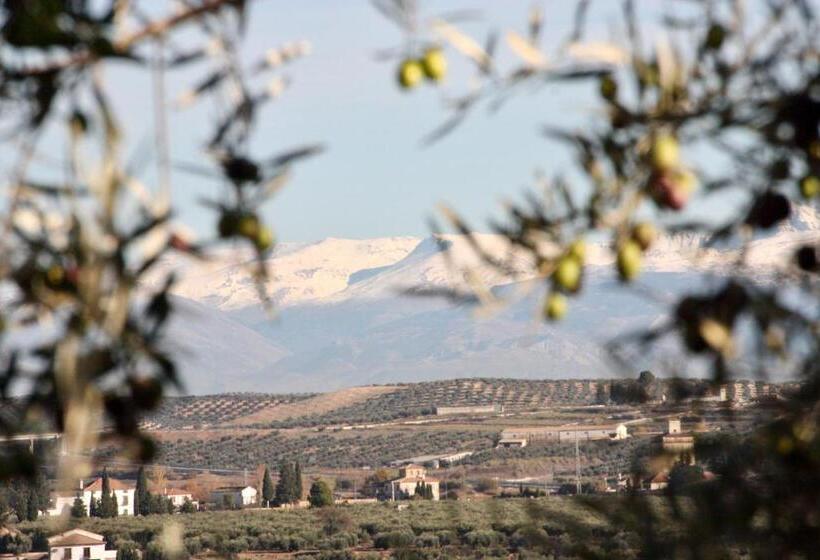 Casa Olivar B&b