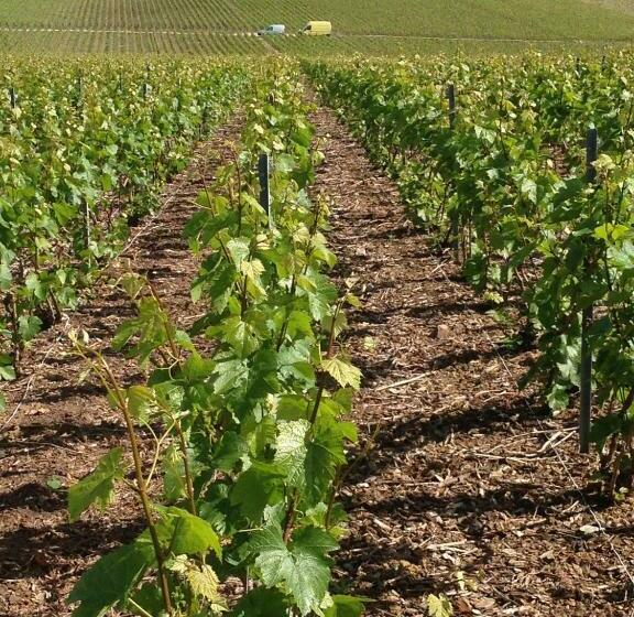 Gite Du Clos Pommier