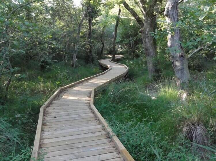 فندق Hôtel Du Lac