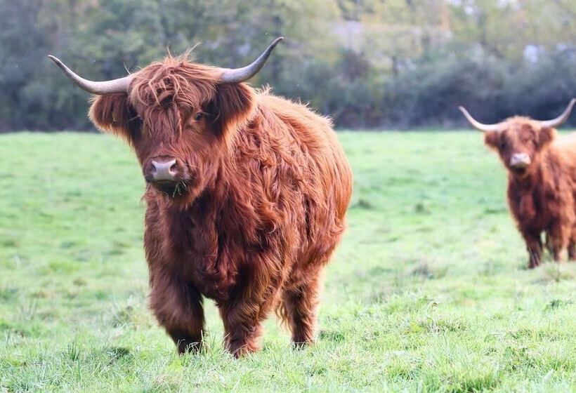 Отель La Ferme Intention