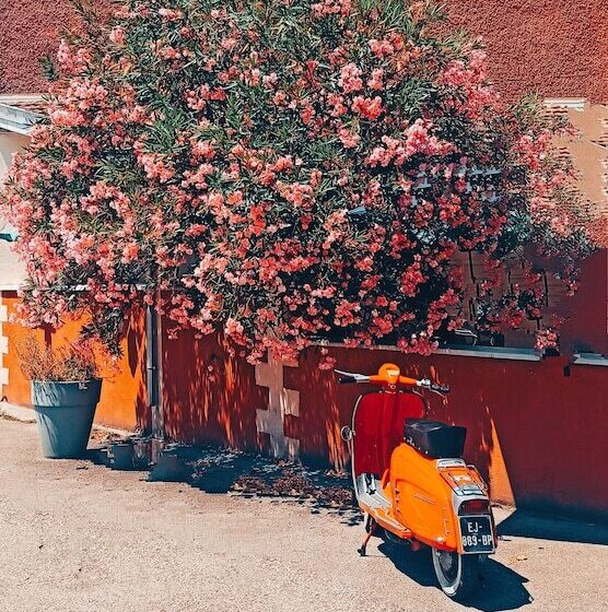 בית מלון כפרי Restaurant La Place