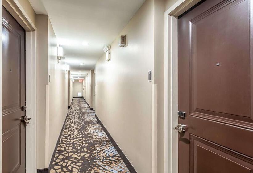 Van Wyck Hotel & Suites Near Jfk Airport