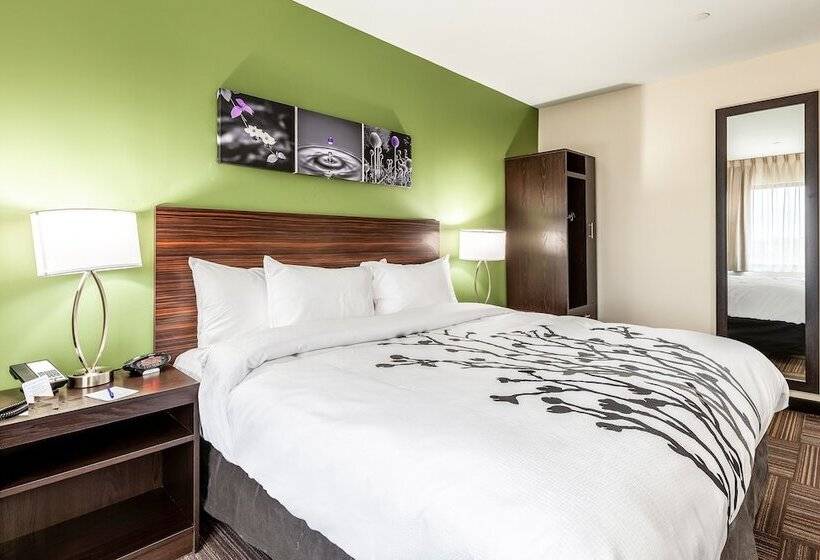 Van Wyck Hotel & Suites Near Jfk Airport