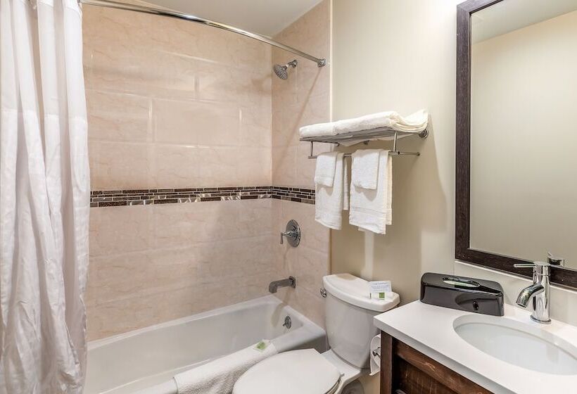 Van Wyck Hotel & Suites Near Jfk Airport