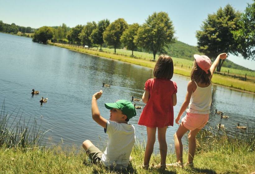 호텔 Vvf Cantal Salers Vendes