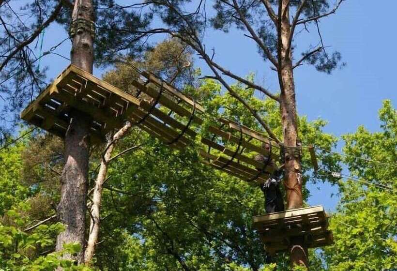 Le Manoir De Placy   Bed And Breakfast