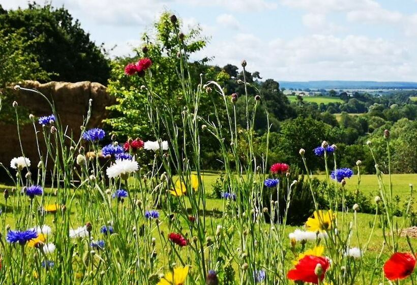 Les Insolites De Jsk