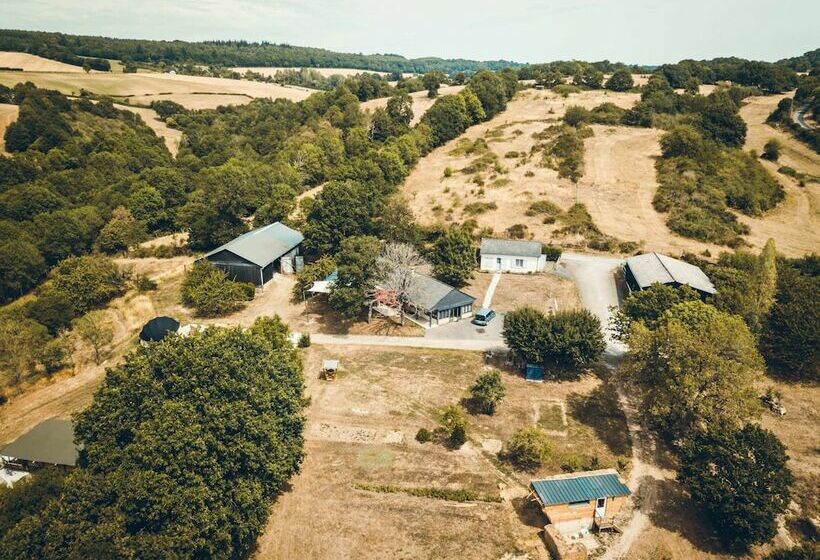 Les Insolites De Jsk