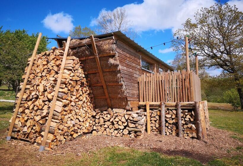 Les Insolites De Jsk