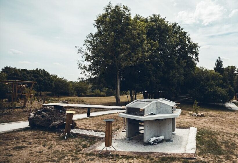 Les Insolites De Jsk