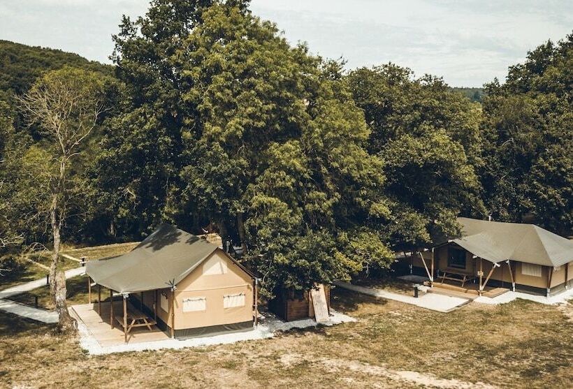 Les Insolites De Jsk