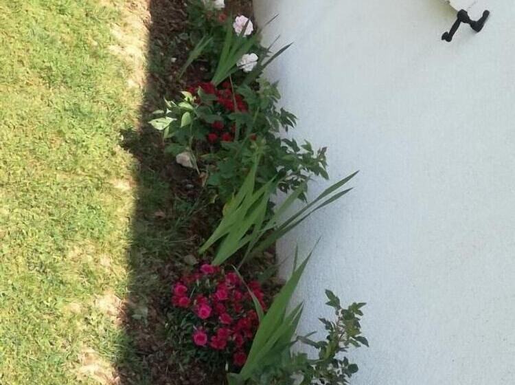 펜션 Brigitte Room