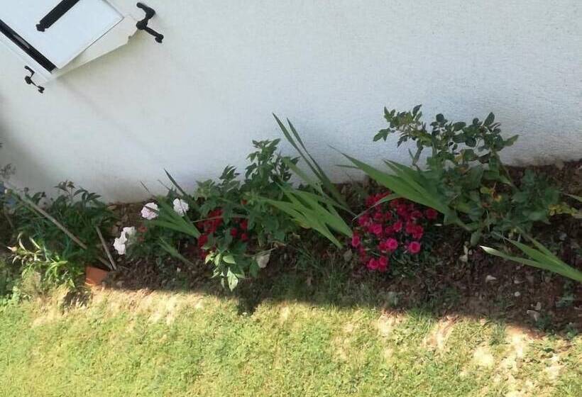 펜션 Brigitte Room