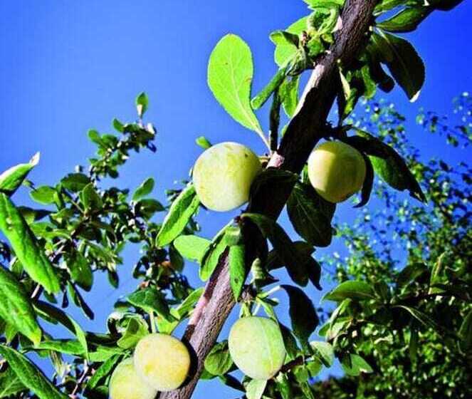 פנסיון Domaine De La Ramade