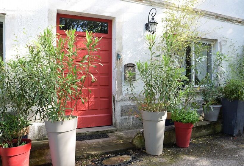 بنسيون ô Fil De L ô