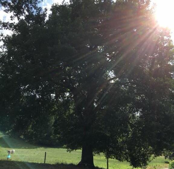 Пансион Gîte:sur Le Chemin