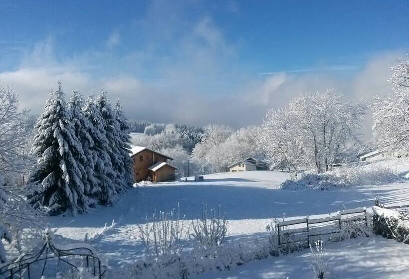 بنسيون Le Bellevue