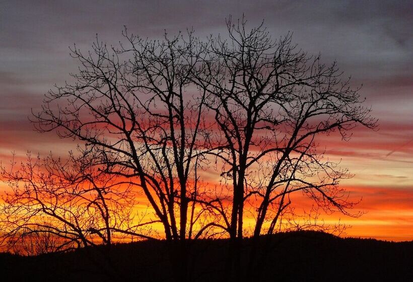 بنسيون Le Bellevue