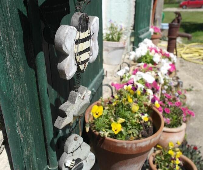 膳宿费 Les Chambres De Filou