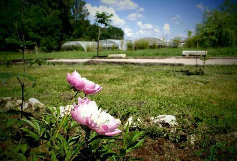 膳宿费 Les Chambres De Filou