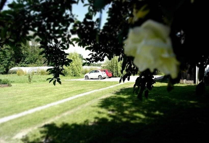 膳宿费 Les Chambres De Filou