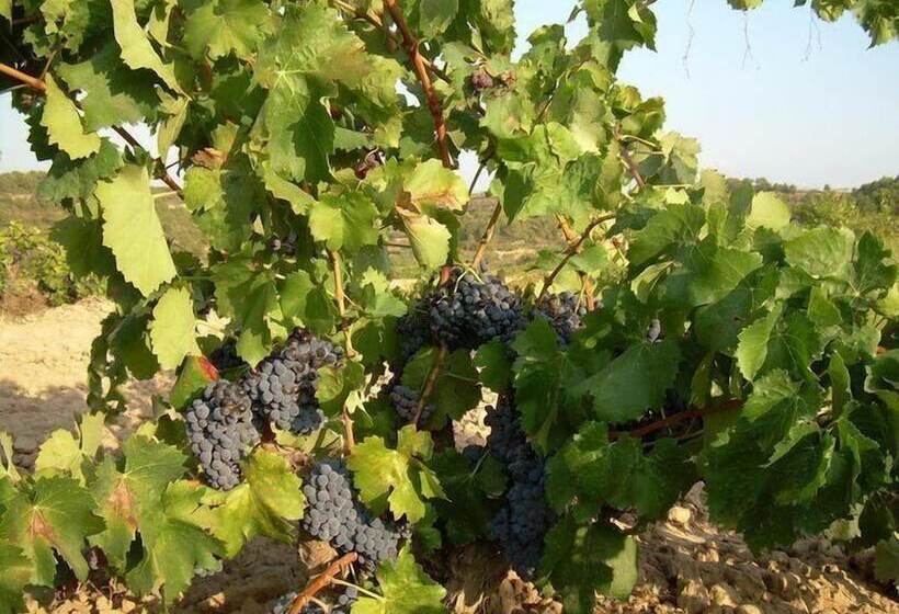 بنسيون Los Trulls D´auligué