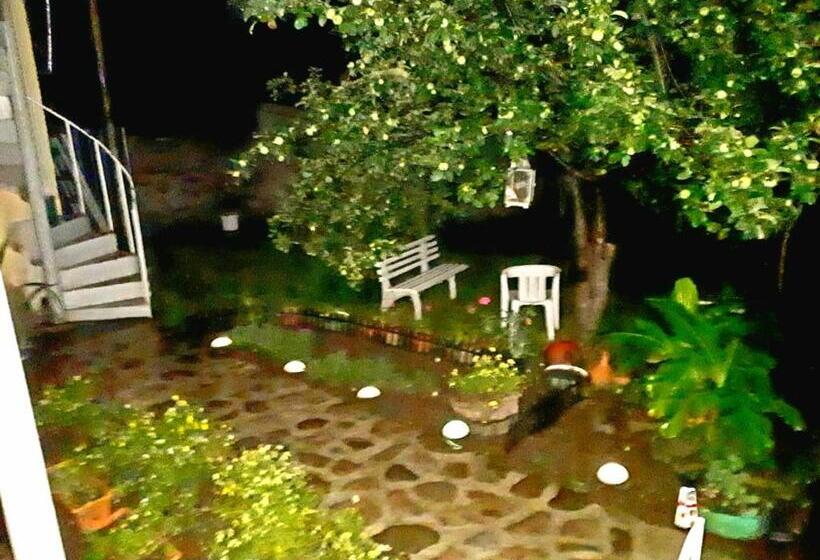 پانسیون Odo's House In Tsinandali