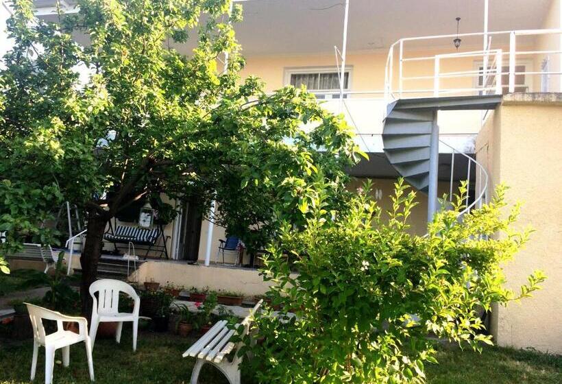 پانسیون Odo's House In Tsinandali