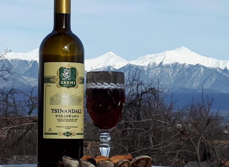 پانسیون Odo's House In Tsinandali