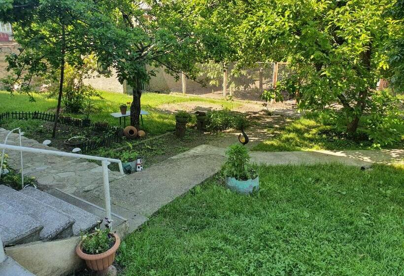 پانسیون Odo's House In Tsinandali