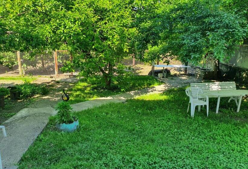 پانسیون Odo's House In Tsinandali