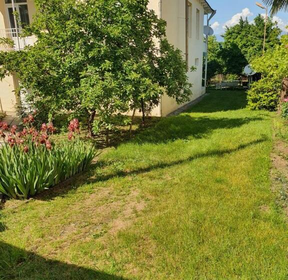 پانسیون Odo's House In Tsinandali