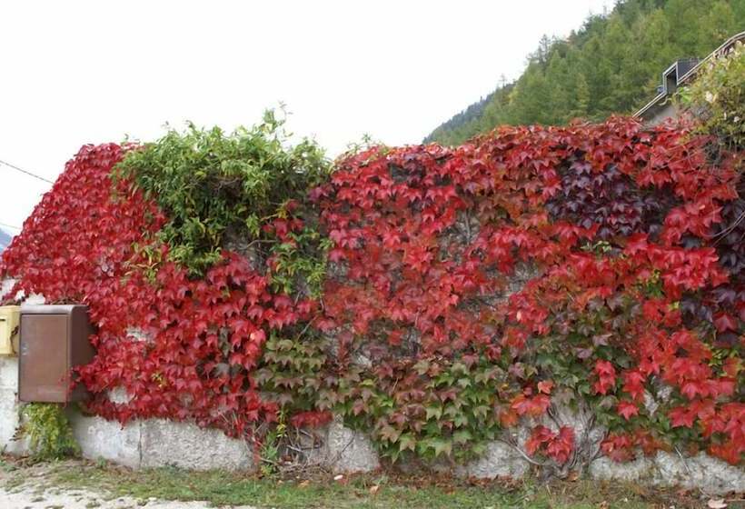 بنسيون Résidence Le Bellevue