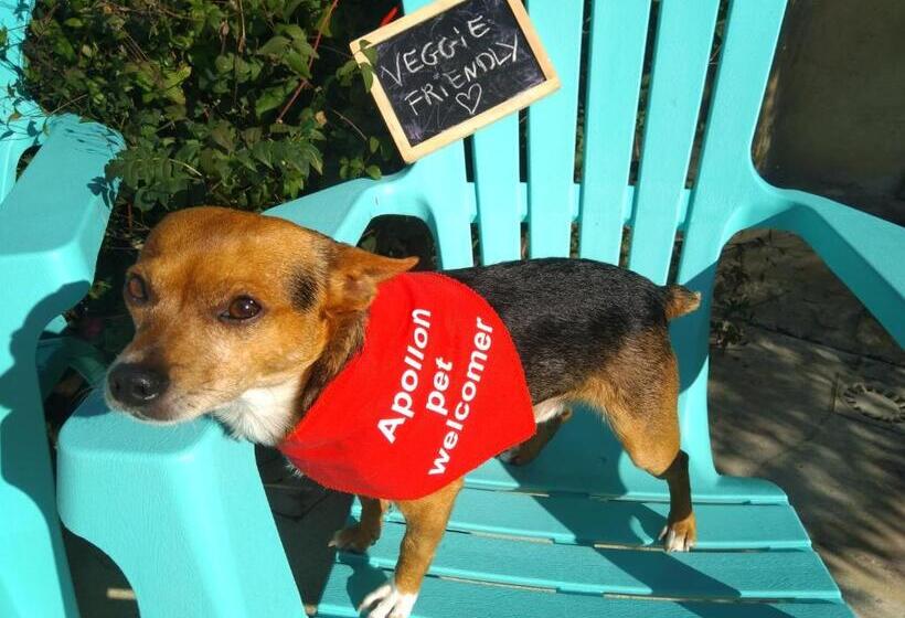 膳宿费 Villa Athéna,séjour Bien être Et éthique