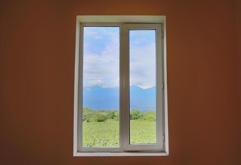 پانسیون Villa Tsinandali