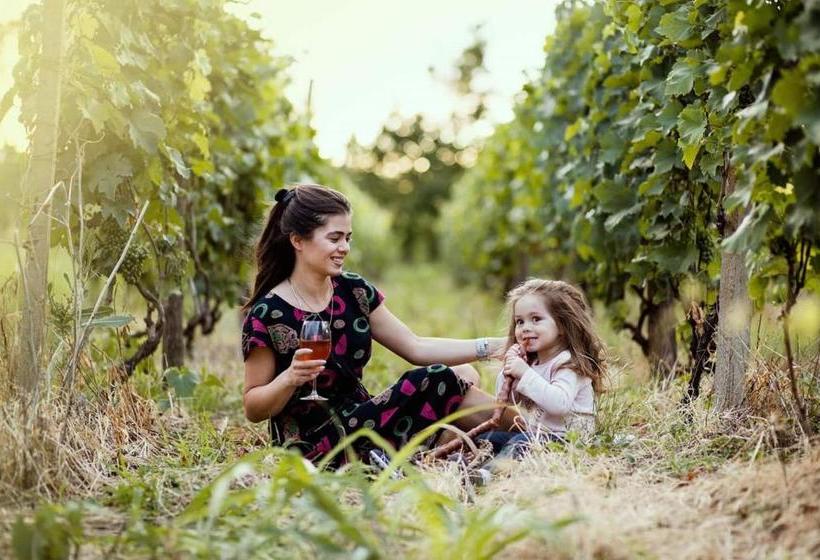 پانسیون Villa Tsinandali